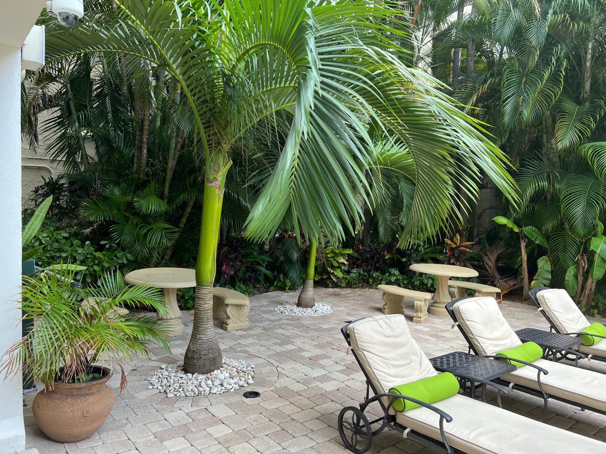 Orchid Suites - Historic Palm Beach Hotel Condominium 외부 사진