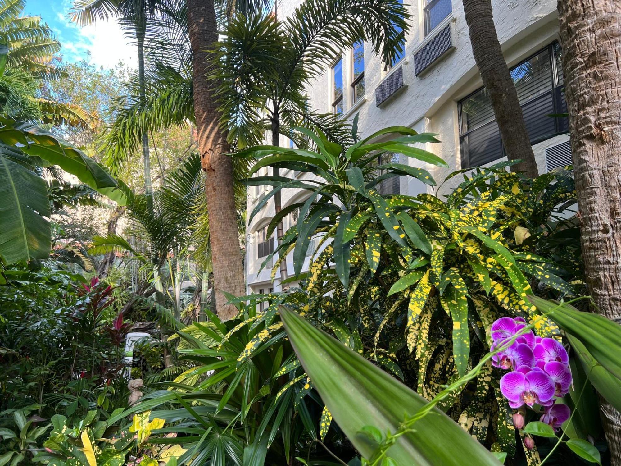 Orchid Suites - Historic Palm Beach Hotel Condominium 외부 사진